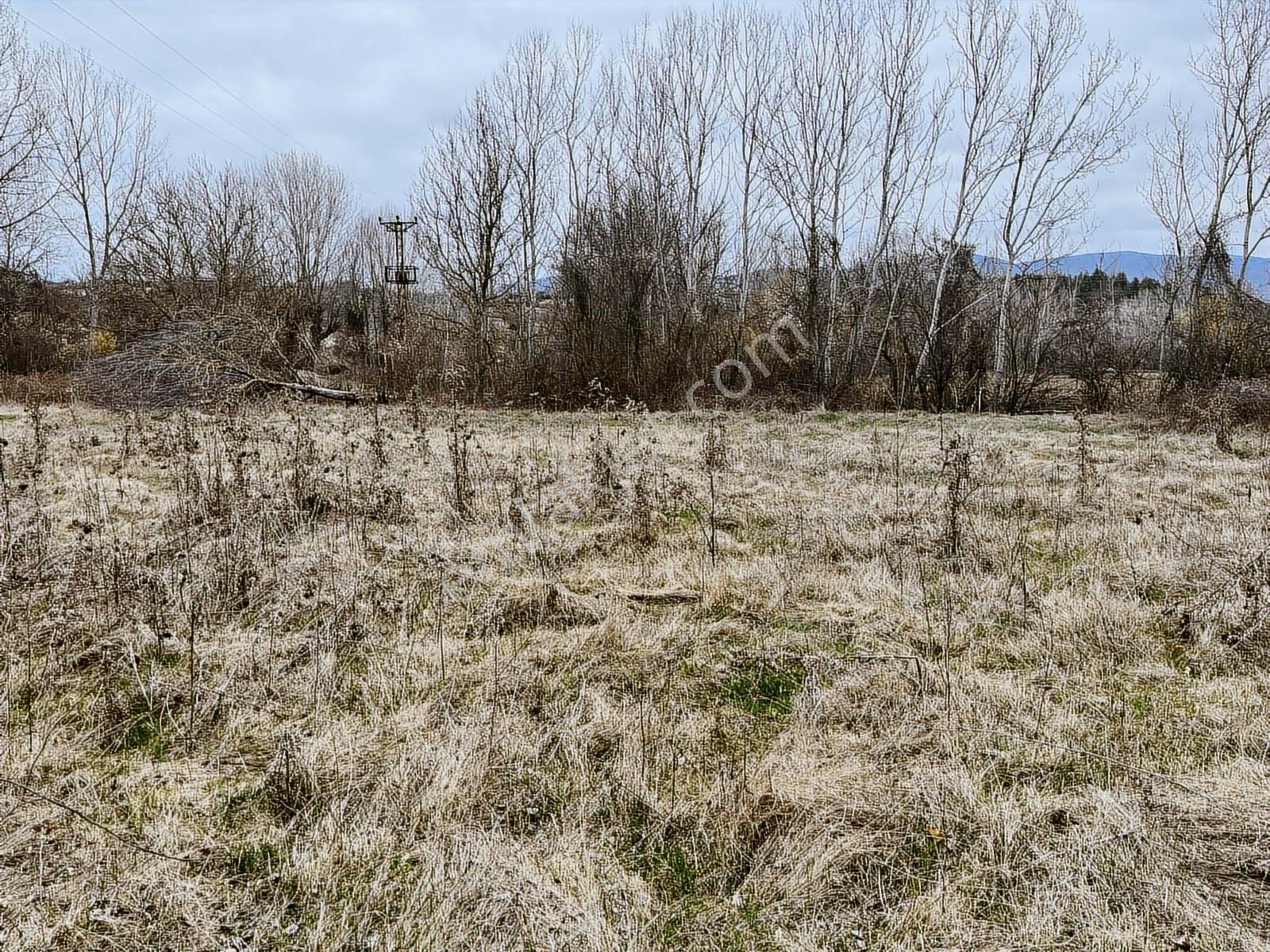 Kastamonu Bozoğlak'ta 5819m Köşe Cephe Tarla Bahçe Tapulu - Görsel 5