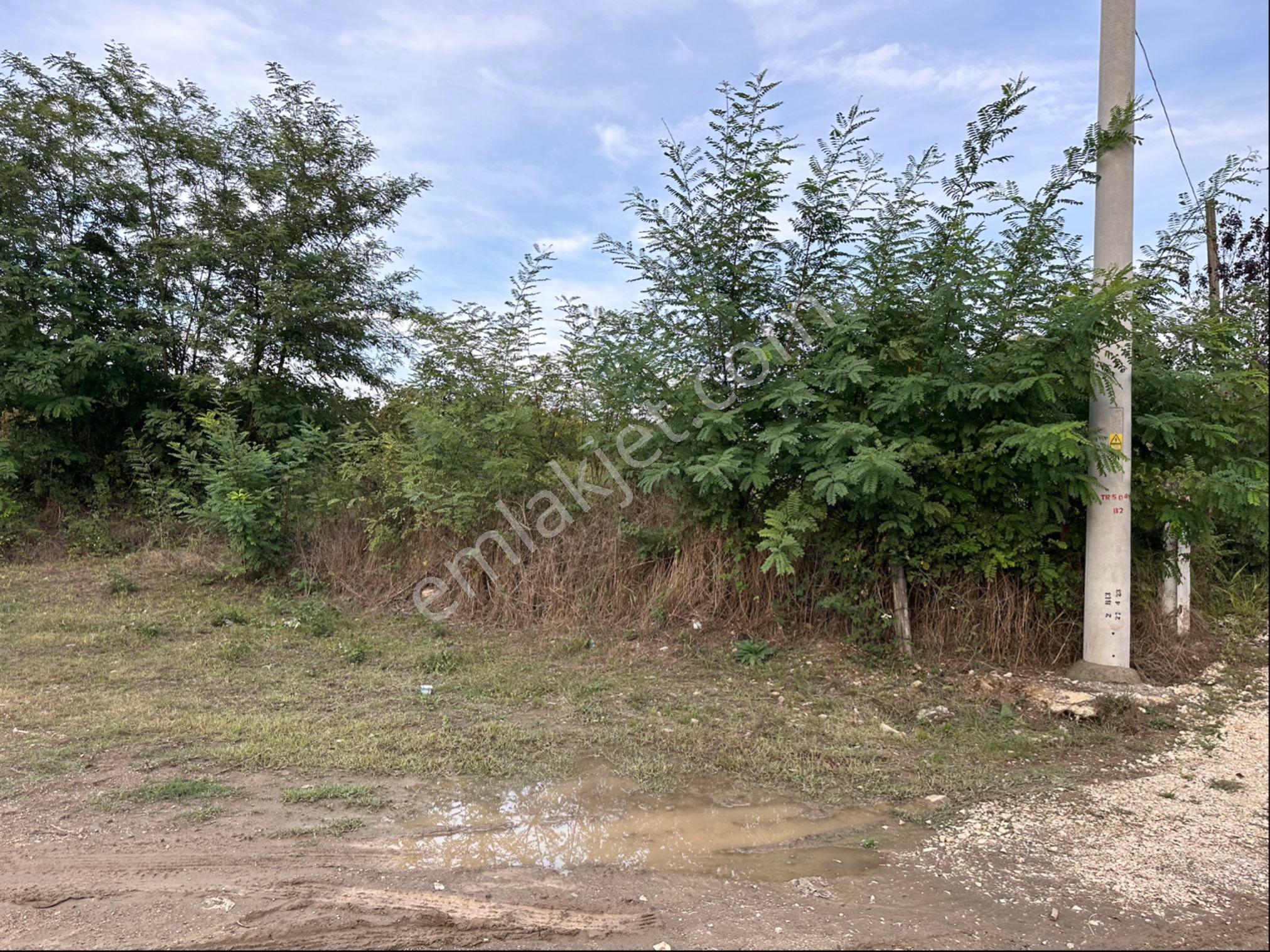 Düzce Çilimli Mahirağa Mahallesinde Satılık 604 M2 Parsel - Görsel 4
