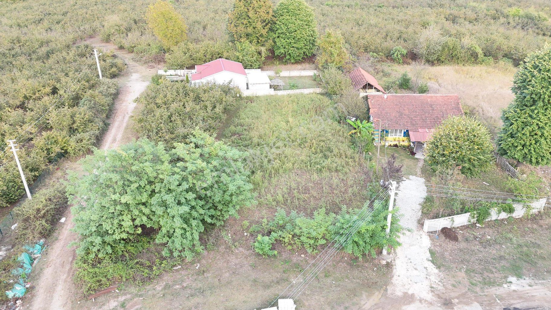 Düzce Çilimli Mahirağa Mahallesinde Satılık 604 M2 Parsel - Görsel 6