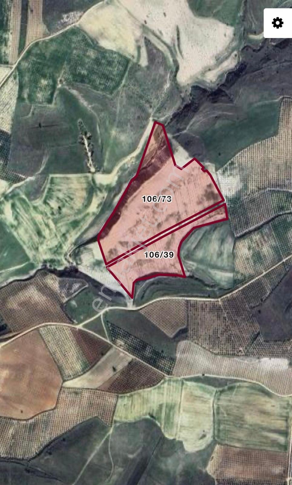 Salihli -mevlütlü Mahallesinde Yatırımlık 66 Dönüm Zeytinlik