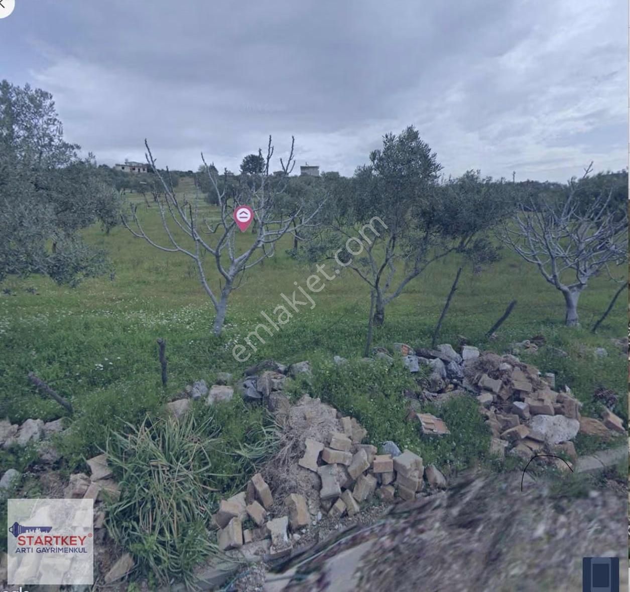 Torbalı Yazıbaşı İmar Sınırına Çok Yakın 12300 M2 Satılık Tarla