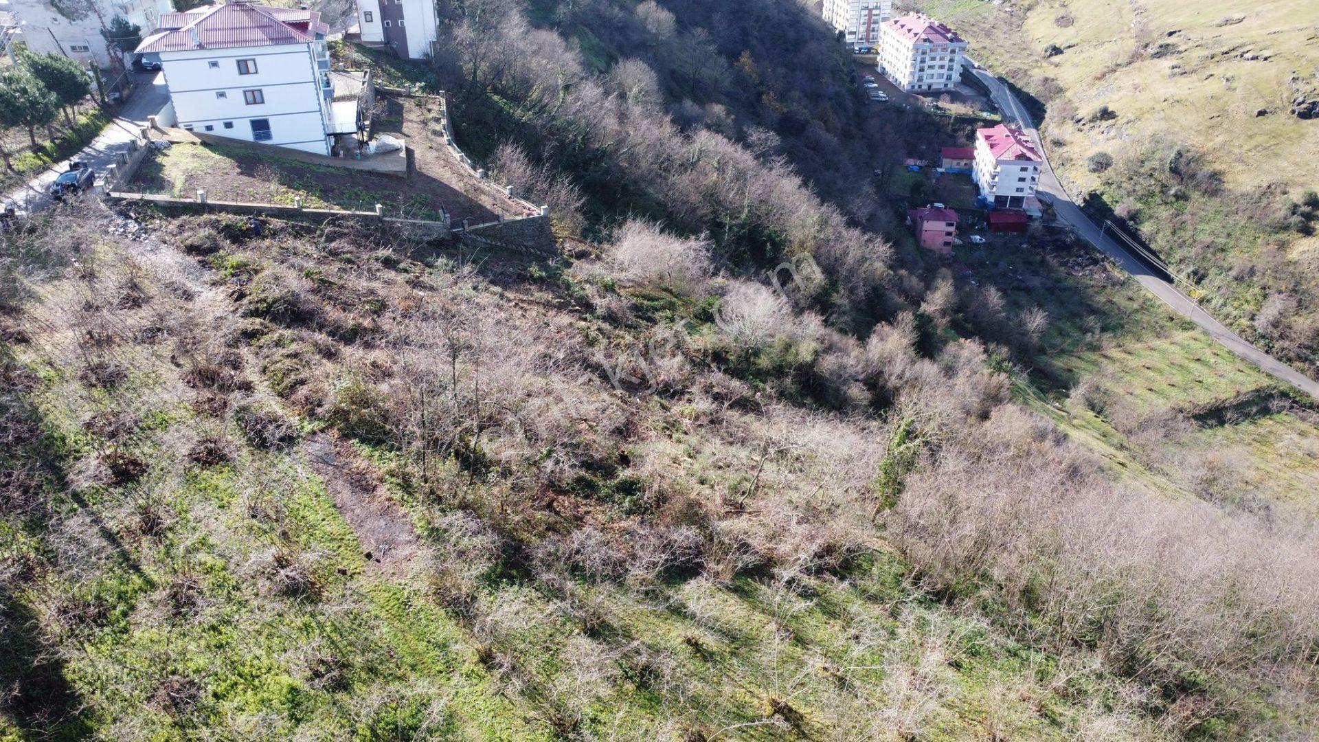 Trabzon Çukurçayır Sofraka Ya Da Satılık Arsa