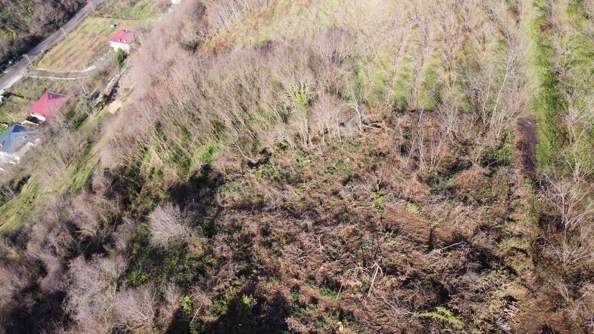 Trabzon Çukurçayır Sofraka Ya Da Satılık Arsa - Görsel 5