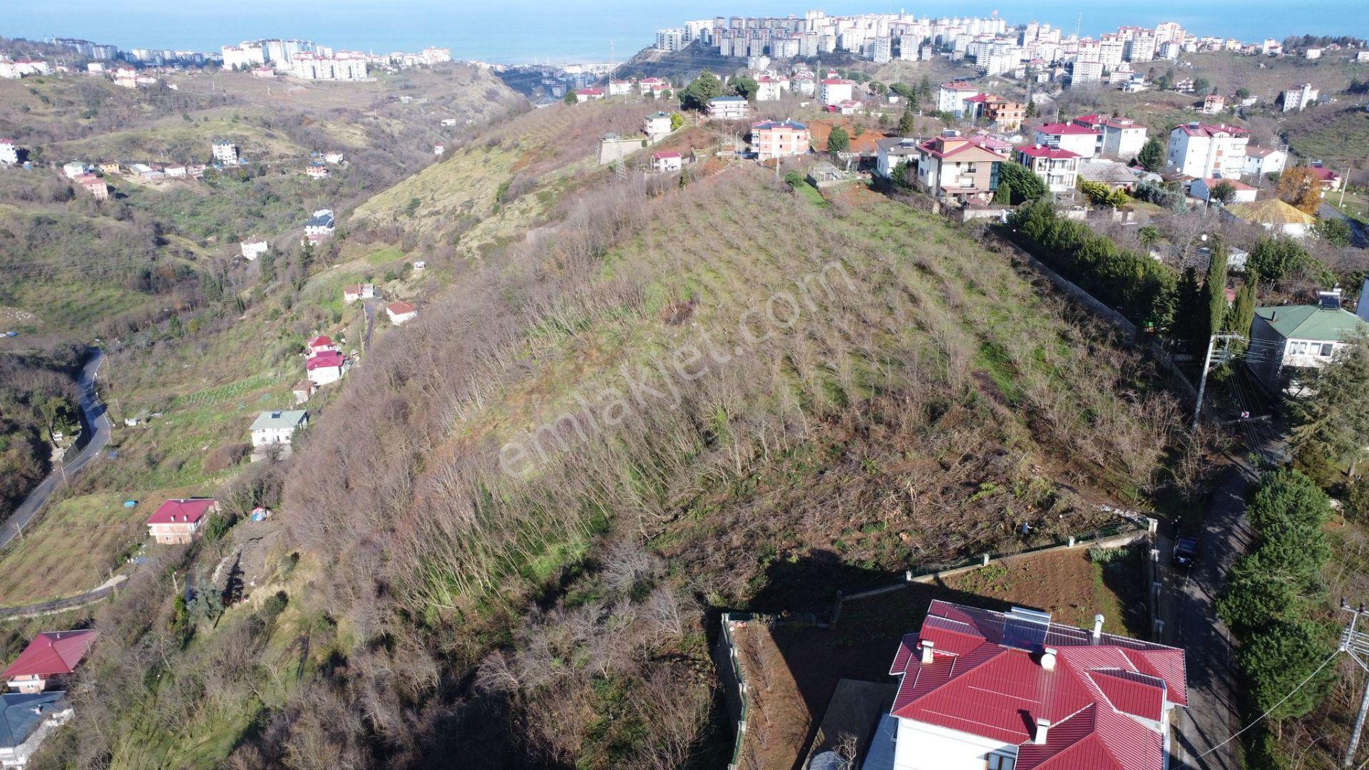 Trabzon Çukurçayır Sofraka Ya Da Satılık Arsa - Görsel 10