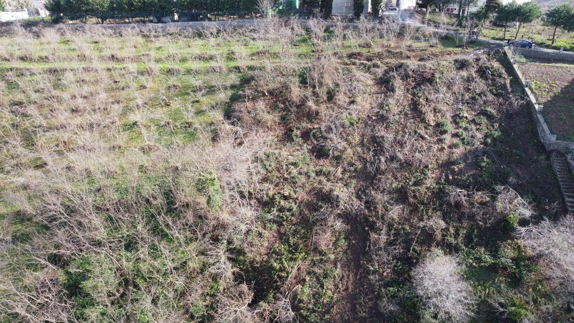 Trabzon Çukurçayır Sofraka Ya Da Satılık Arsa - Görsel 6
