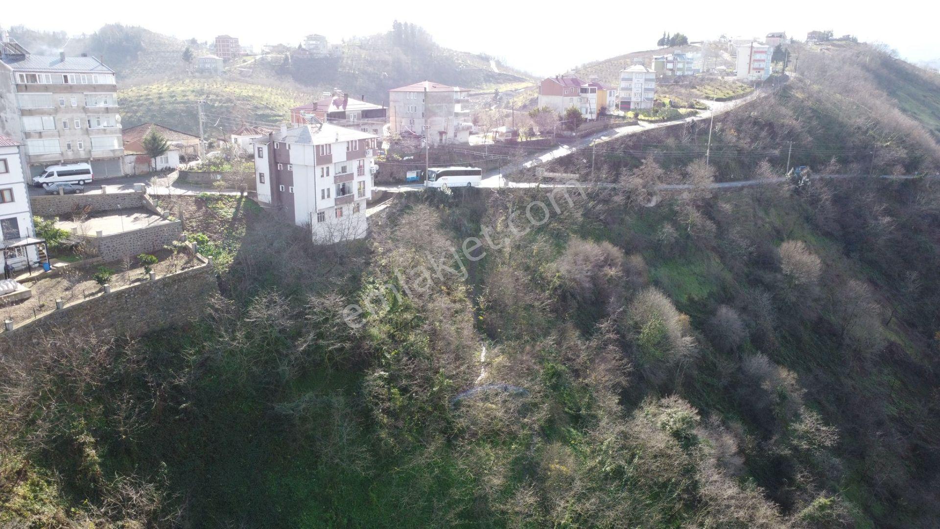 Trabzon Çukurçayır Sofraka Ya Da Satılık Arsa - Görsel 8