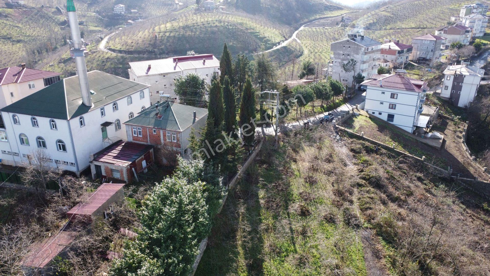 Trabzon Çukurçayır Sofraka Ya Da Satılık Arsa - Görsel 14
