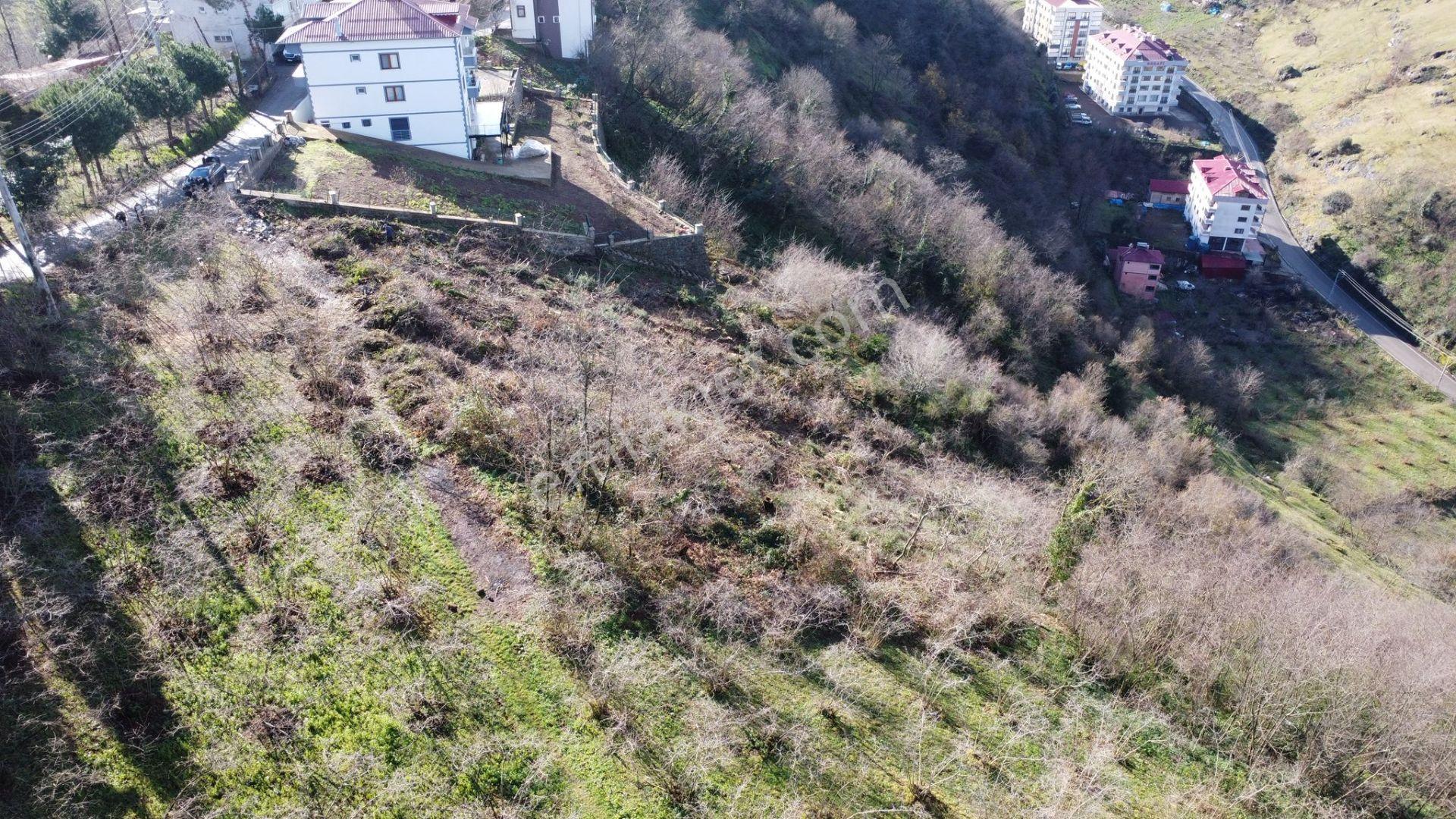 Trabzon Çukurçayır Sofraka Ya Da Satılık Arsa - Görsel 9