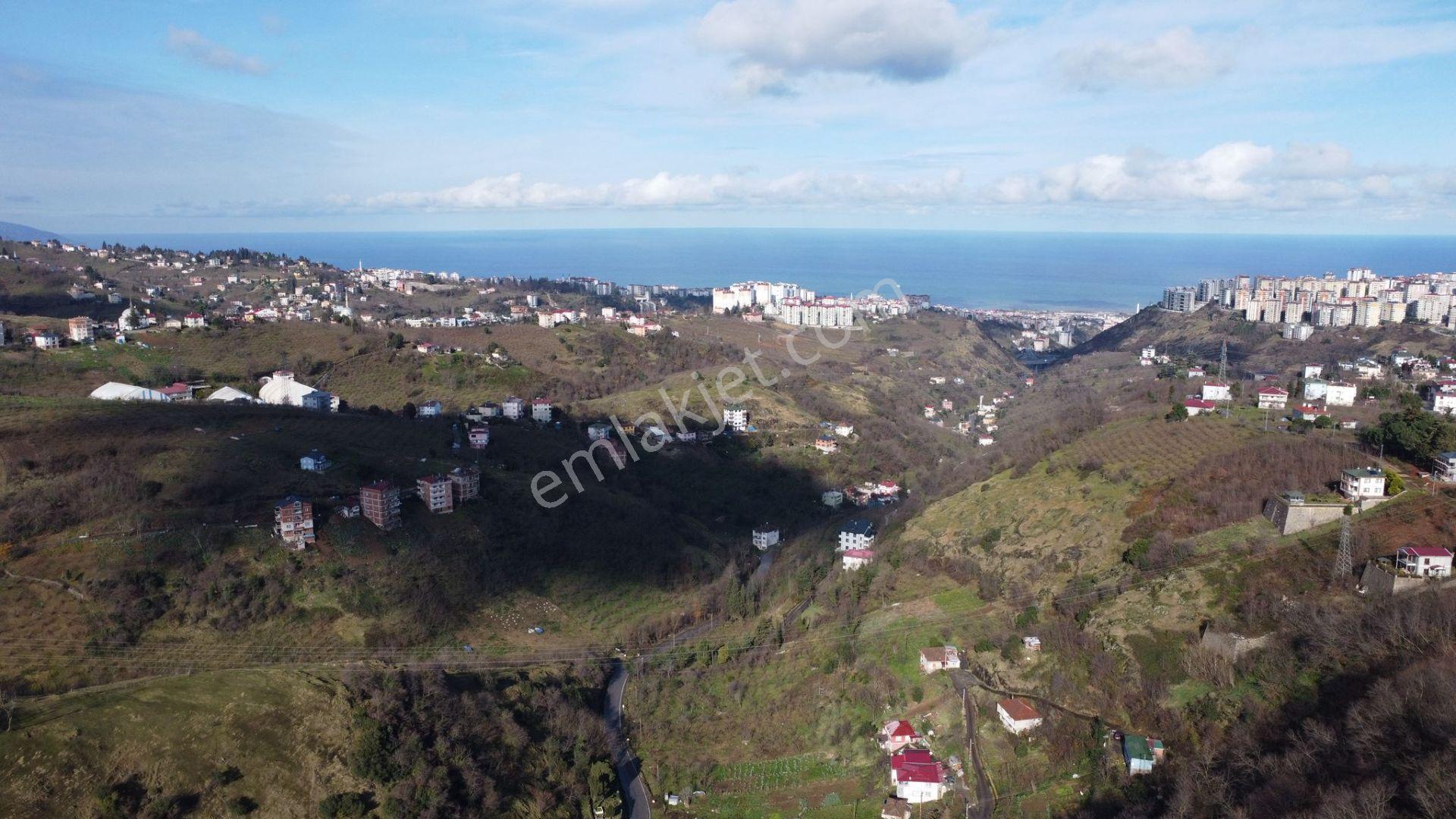 Trabzon Çukurçayır Sofraka Ya Da Satılık Arsa - Görsel 2