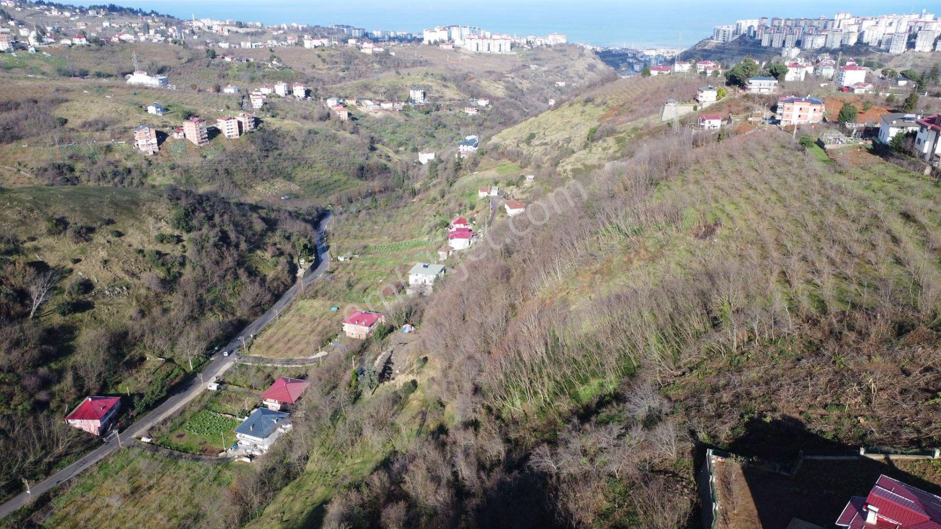 Trabzon Çukurçayır Sofraka Ya Da Satılık Arsa - Görsel 11