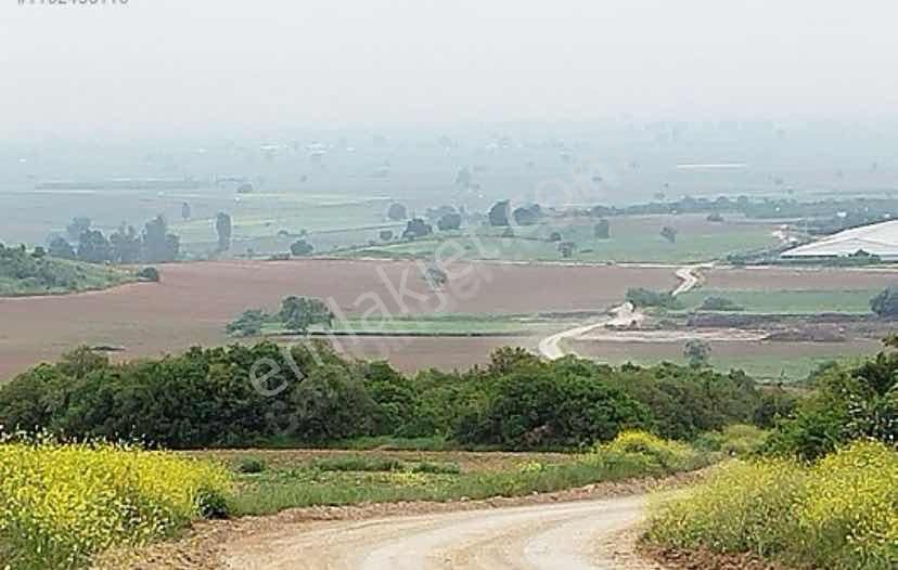 Yenişehir Barcın Yola Cephe Satılık Tarla - Görsel 3