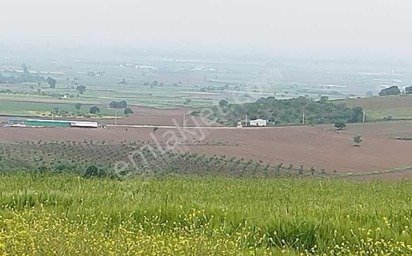 Yenişehir Barcın Yola Cephe Satılık Tarla - Görsel 2
