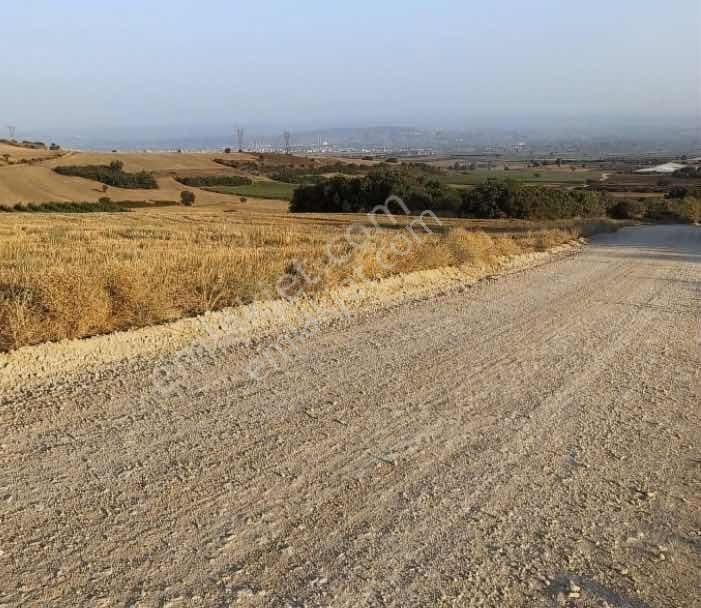 Yenişehir Barcın Yola Cephe Satılık Tarla - Görsel 5