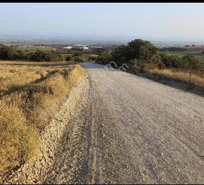 Yenişehir Barcın Yola Cephe Satılık Tarla - Görsel 6