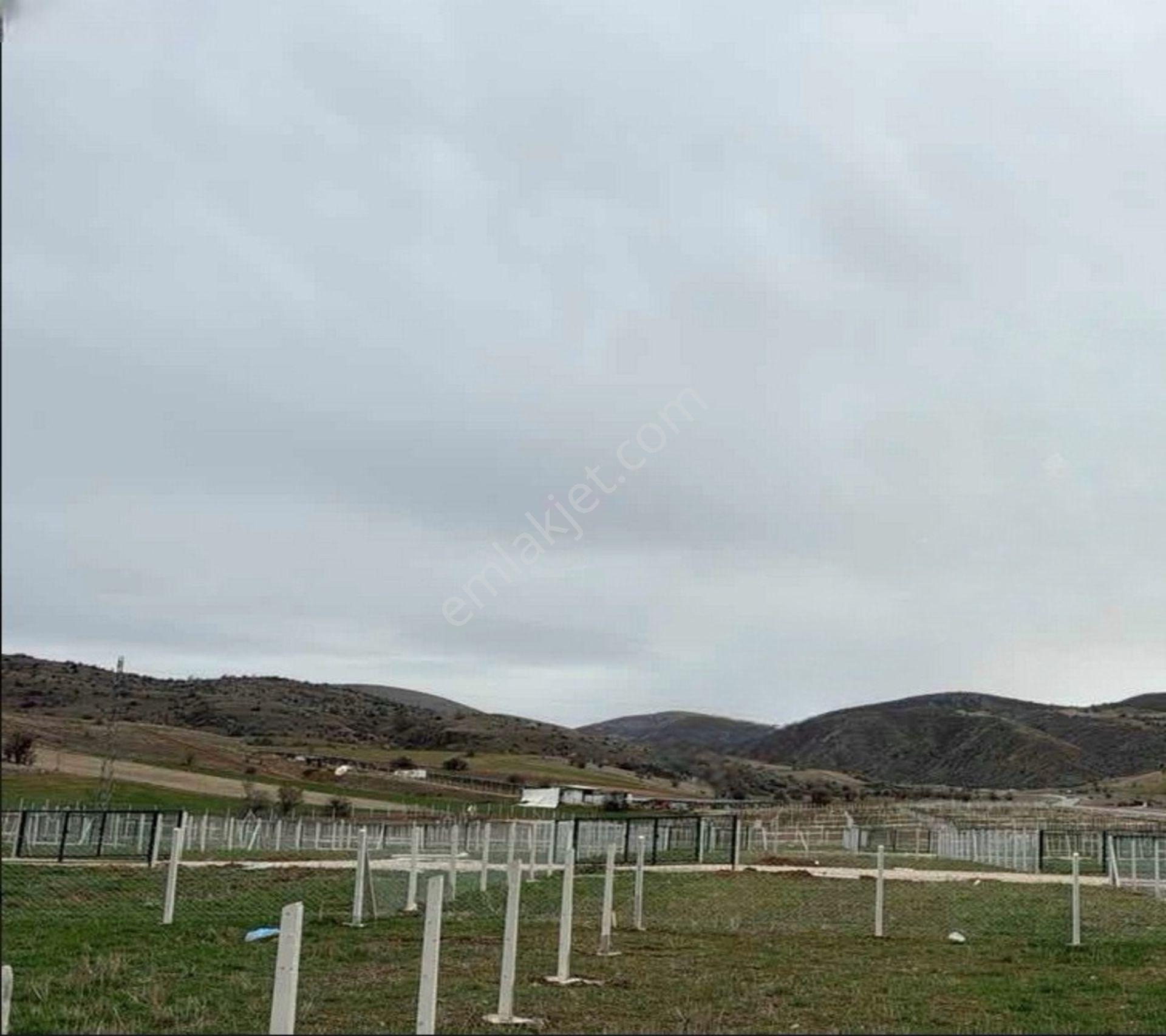 Asfalta Sıfır Çubuk Yakuphasan Da Satılık Hobi Bahçeleri - Görsel 15