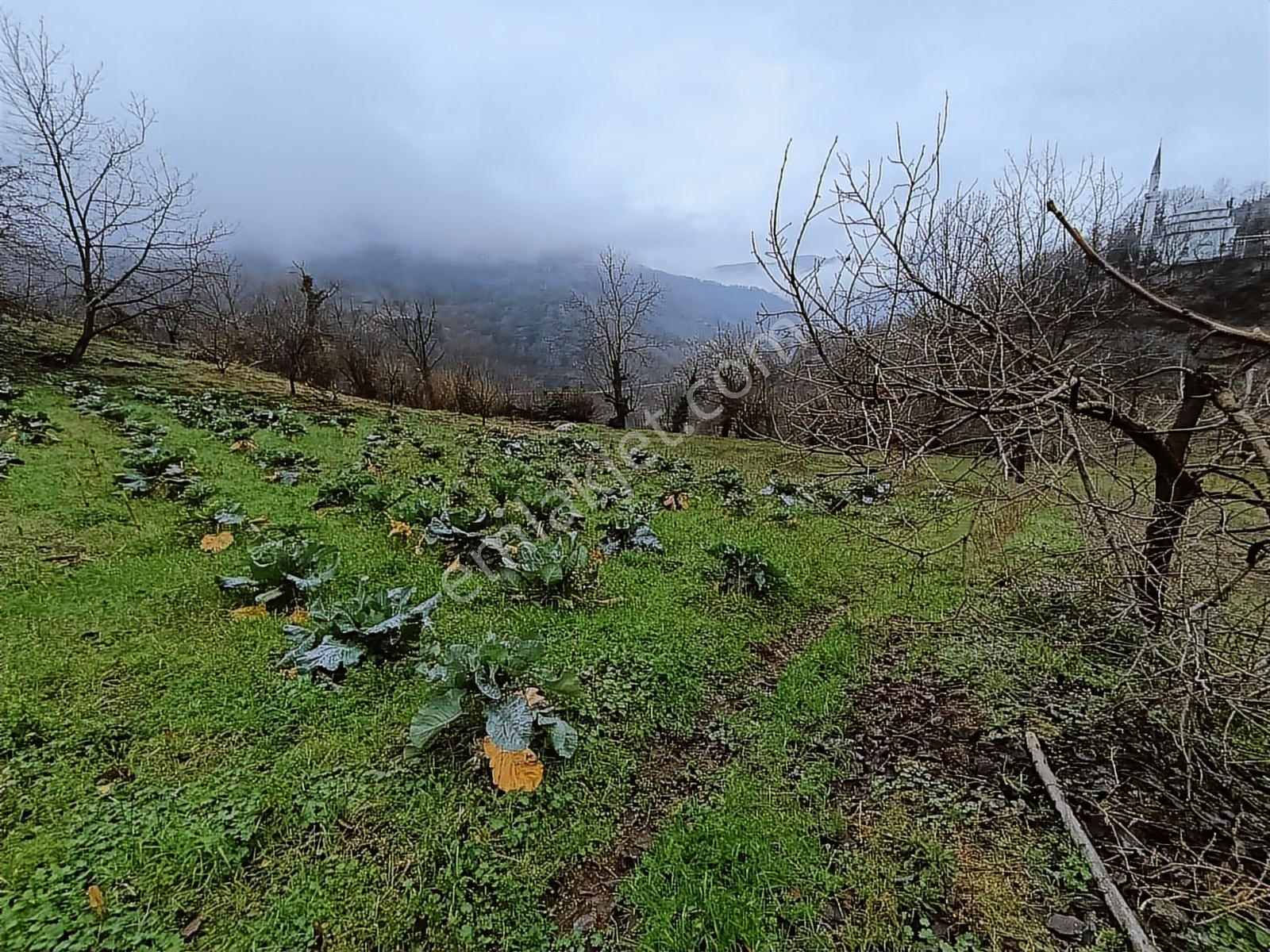 Tarcanlardan Başiskele Aksıgın'da Kaçırılmayacak İmarlı Arsa - Görsel 9