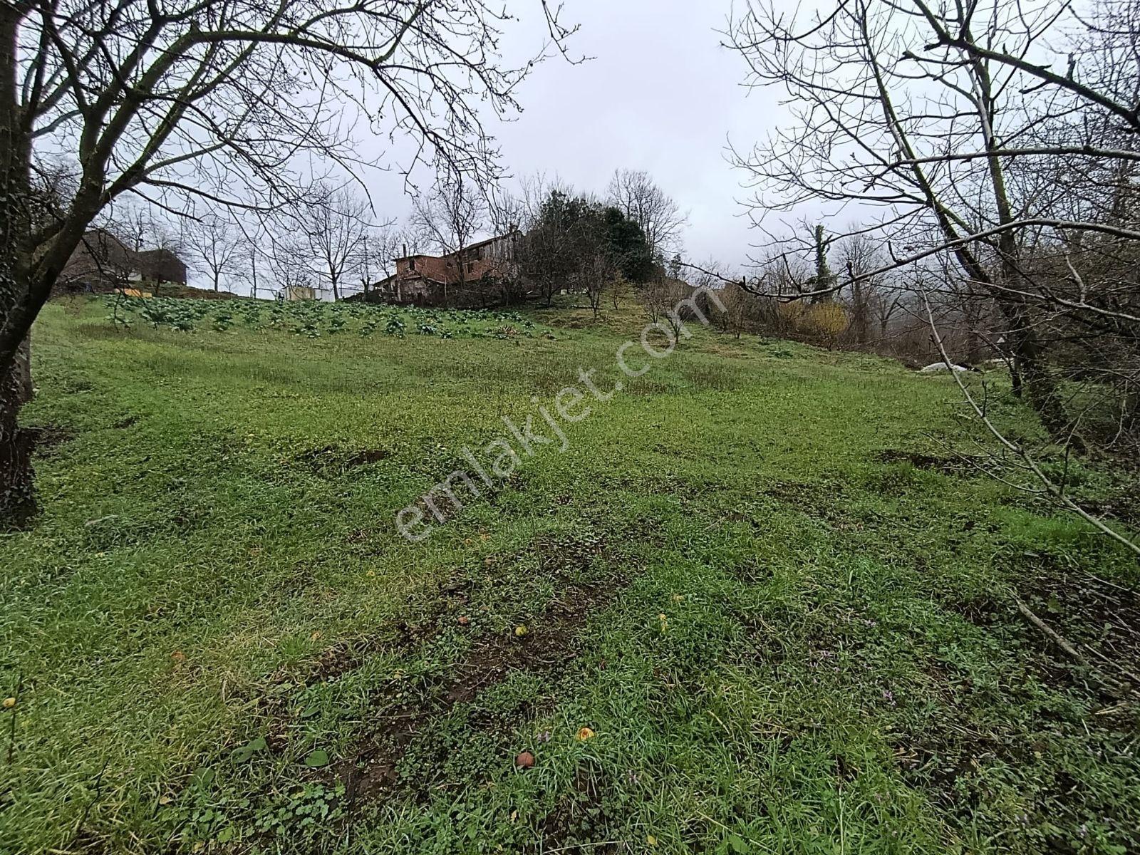 Tarcanlardan Başiskele Aksıgın'da Kaçırılmayacak İmarlı Arsa - Görsel 7