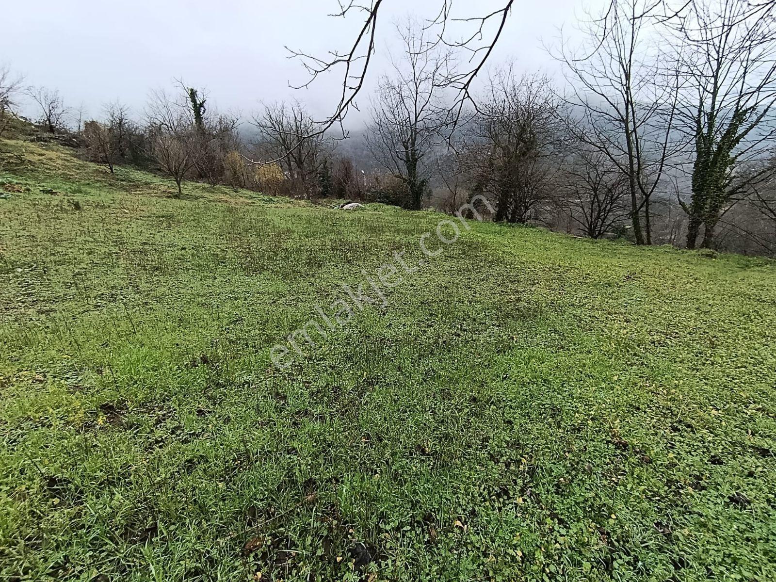 Tarcanlardan Başiskele Aksıgın'da Kaçırılmayacak İmarlı Arsa - Görsel 6
