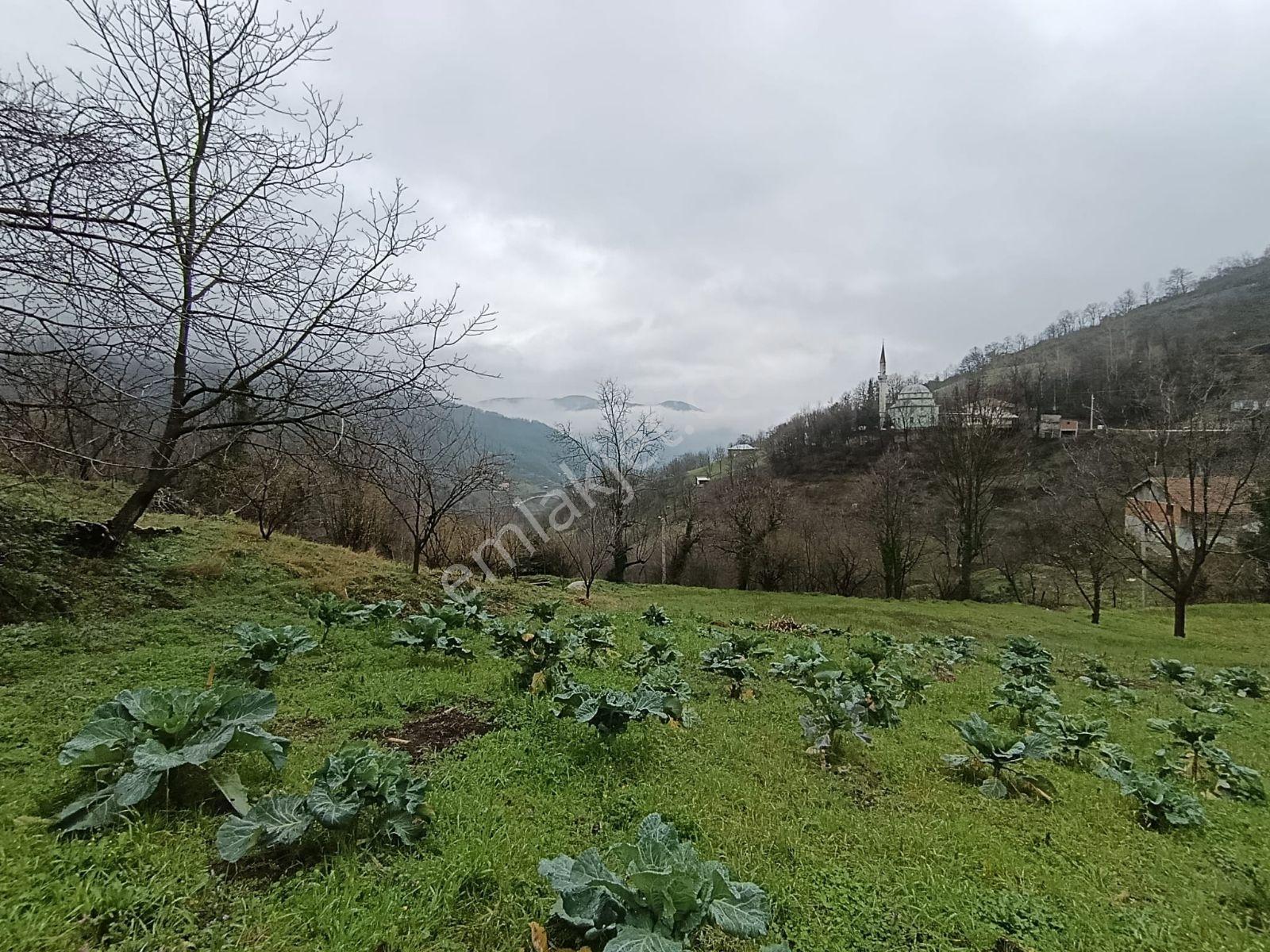 Tarcanlardan Başiskele Aksıgın'da Kaçırılmayacak İmarlı Arsa - Görsel 2