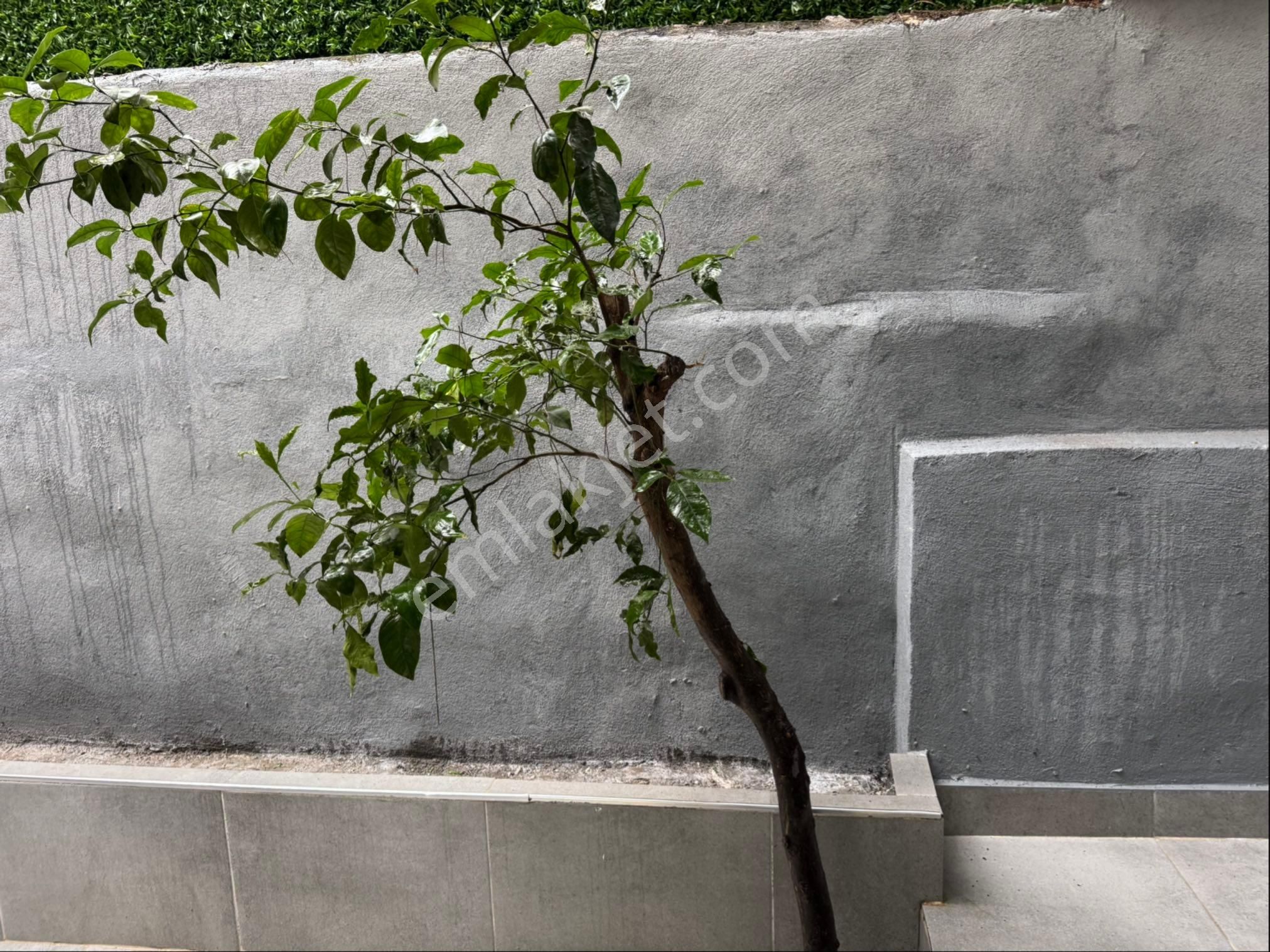 Şehrin Merkezi’ Nde Çok Özel Tadilatlı Konsept Dairemiz - Görsel 10