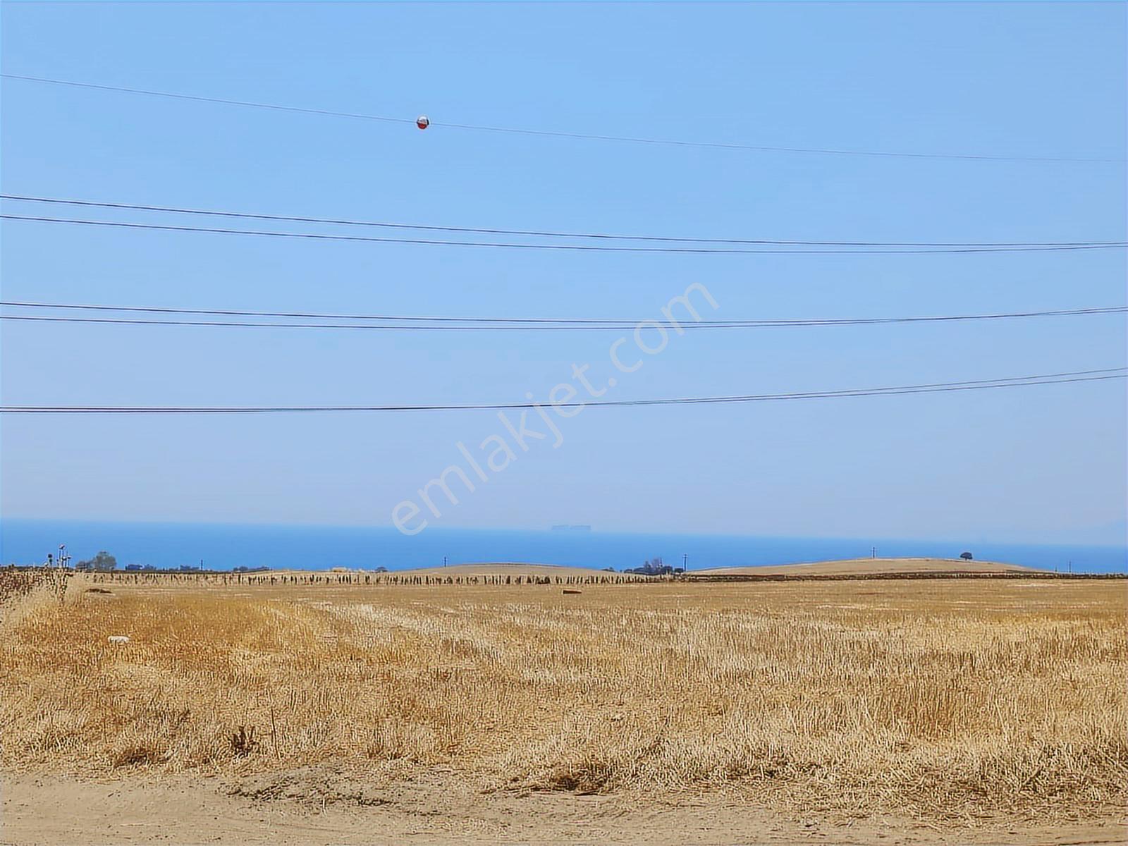Tekirdağ Marmaraereğlisi Çeşmelide 274,25 Parsel Tarladan Hisse - Görsel 3