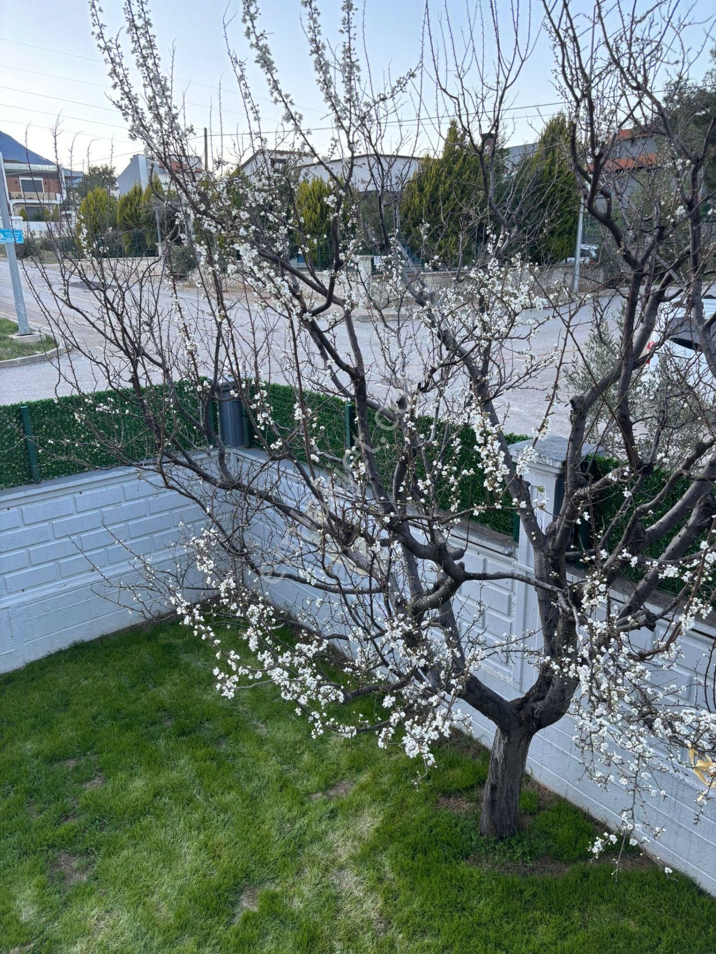 Kaan Emlaktan Şirinköyde Doğa Manzaralı Lüks Daire - Görsel 4