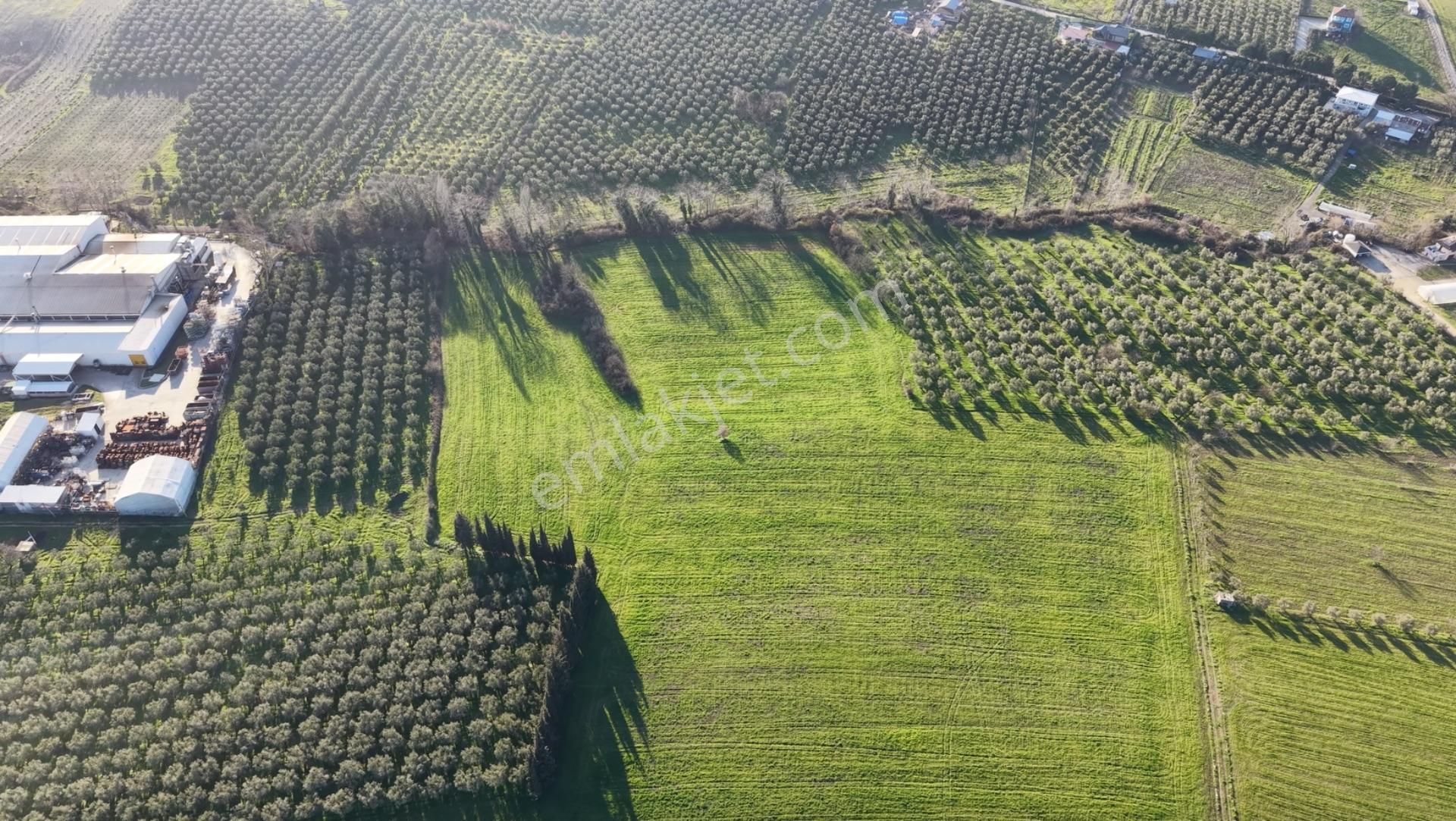 Turyap'tan Orhangazi Muradiye'de Aka Fabrikasının Arkasında - Görsel 3