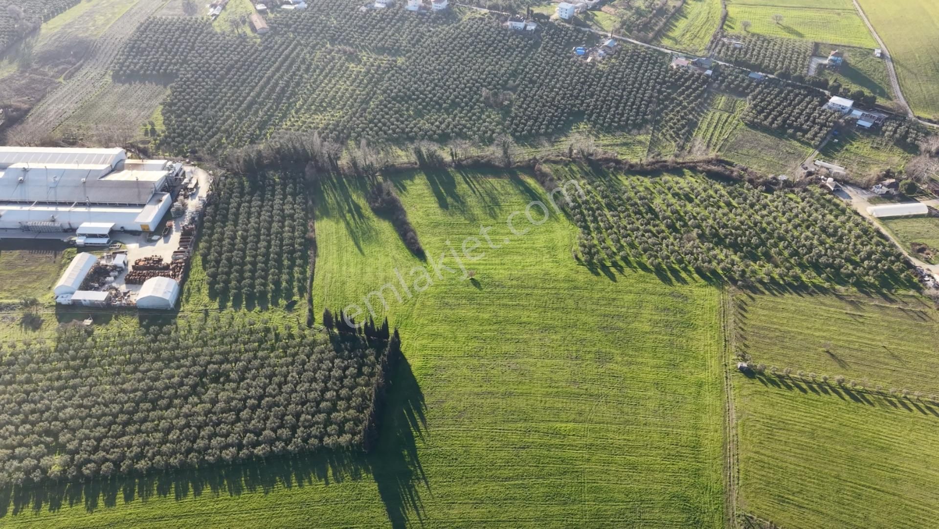 Turyap'tan Orhangazi Muradiye'de Aka Fabrikasının Arkasında - Görsel 2