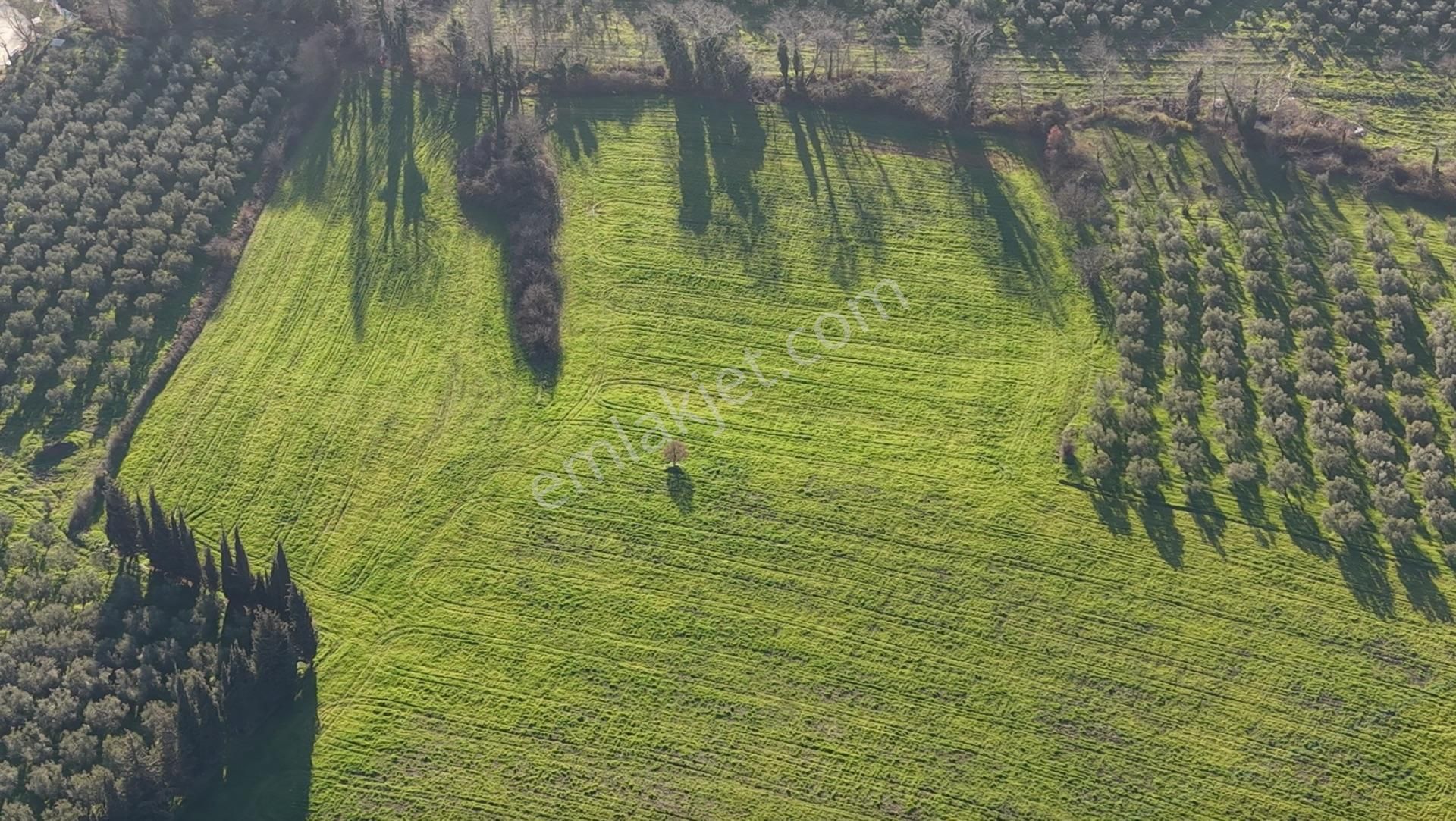 Turyap'tan Orhangazi Muradiye'de Aka Fabrikasının Arkasında - Görsel 5