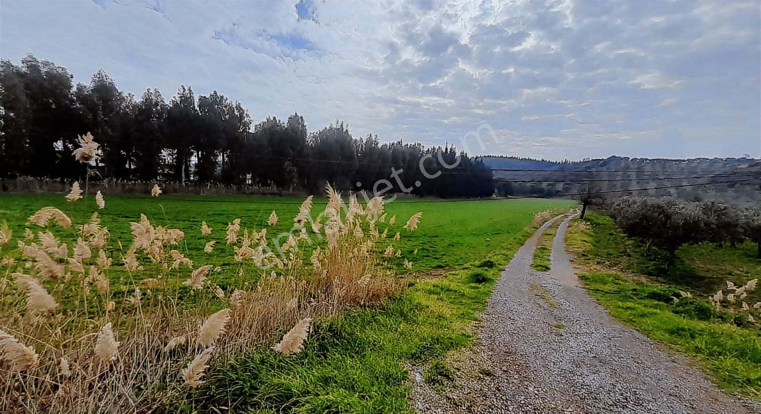 Aliağa Yalı Mahallesi Ana Yol Cepheli Satılık Tarla - Görsel 6