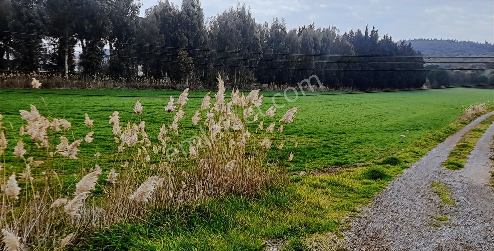 Aliağa Yalı Mahallesi Ana Yol Cepheli Satılık Tarla - Görsel 8