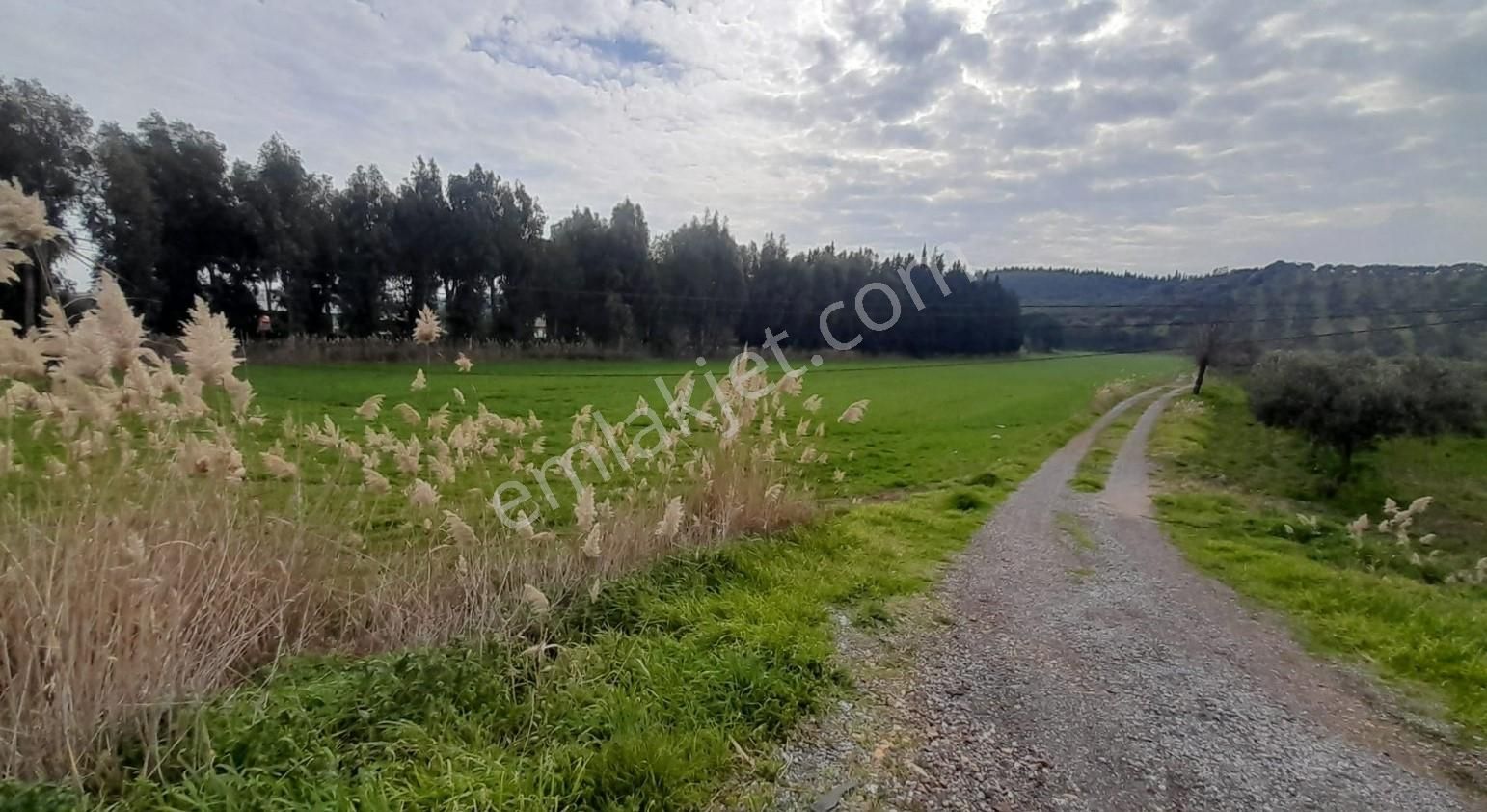 Aliağa Yalı Mahallesi Ana Yol Cepheli Satılık Tarla - Görsel 4