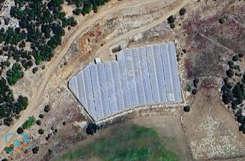 Mykonut'tan Satılık Sera Yapımına Uygun Y.gökben,de Tarla - Görsel 11