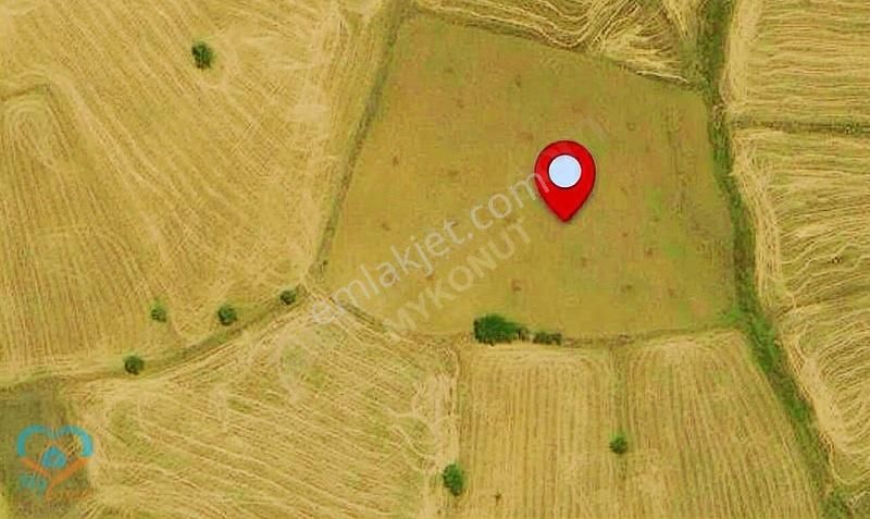 Mykonut'tan Satılık Sera Yapımına Uygun Y.gökben,de Tarla - Görsel 7