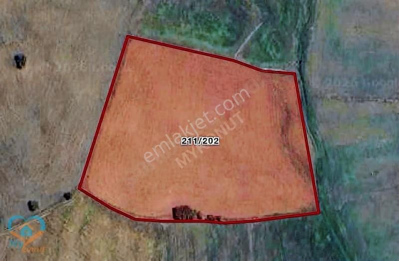 Mykonut'tan Satılık Sera Yapımına Uygun Y.gökben,de Tarla