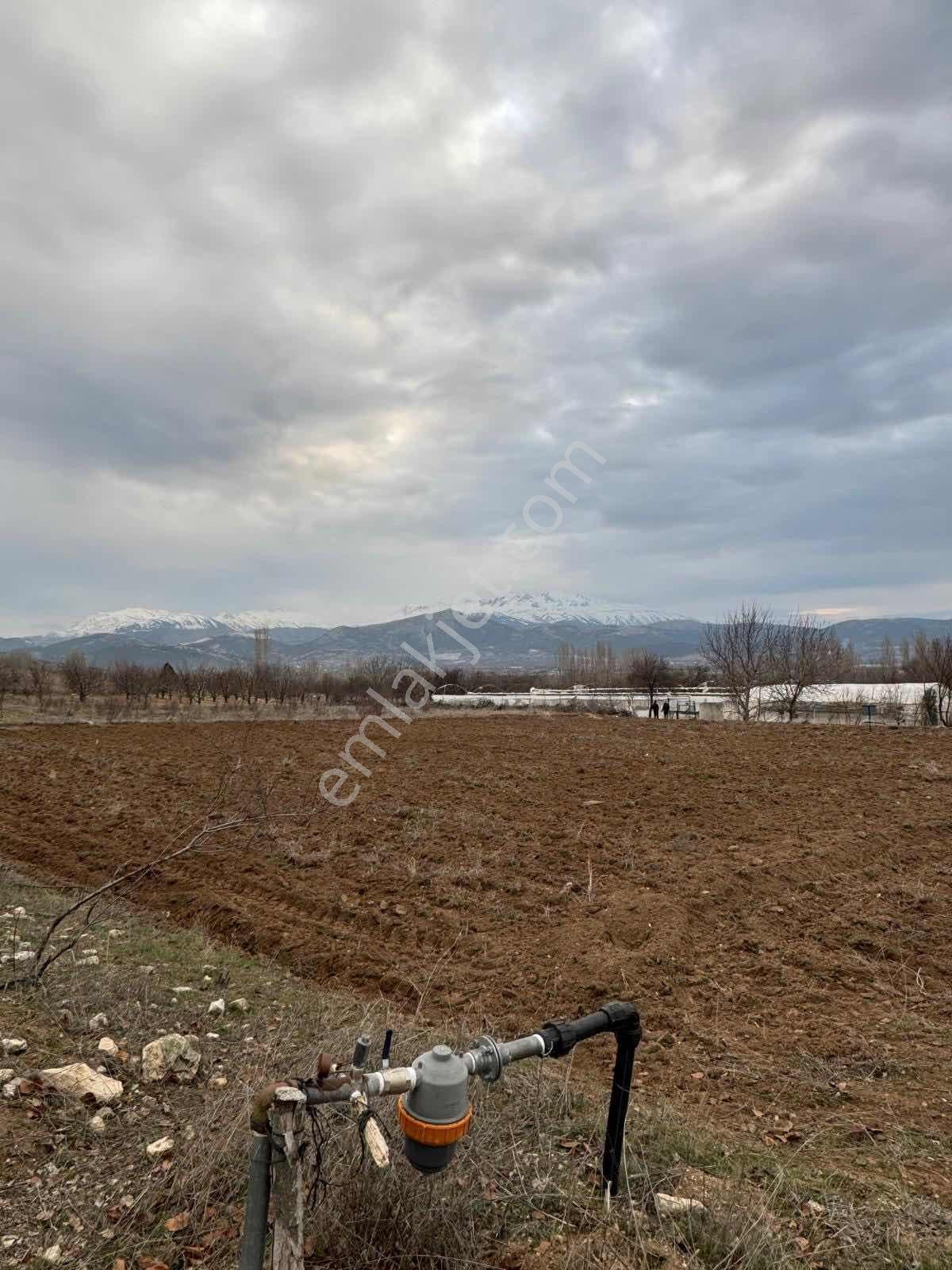 Isparta Atabey Harmanören Satılık Arazi - Görsel 2