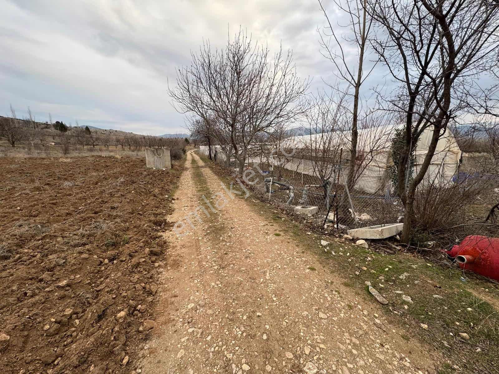 Isparta Atabey Harmanören Satılık Arazi - Görsel 4