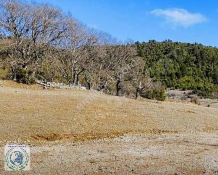 Burdur Bucak Taşyayla Köyü Satılık Tarla - Görsel 5