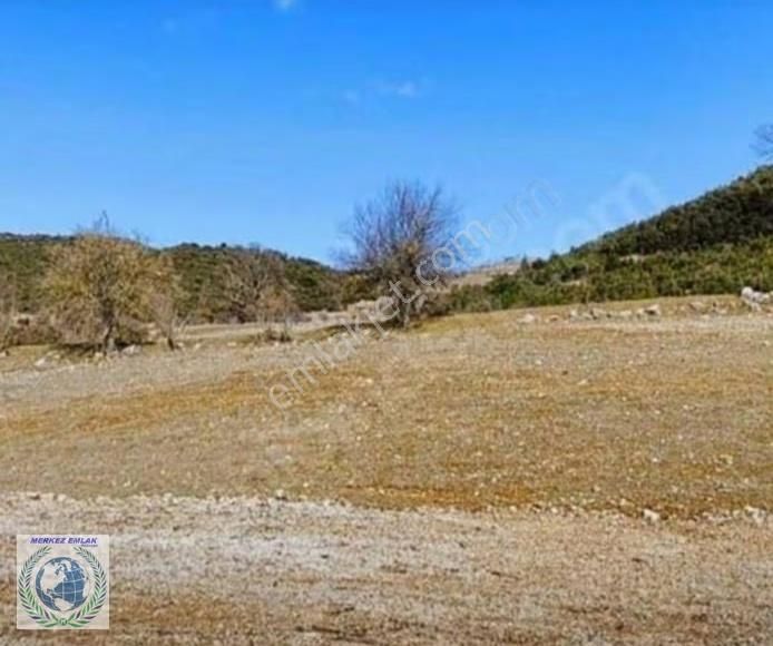Burdur Bucak Taşyayla Köyü Satılık Tarla - Görsel 6