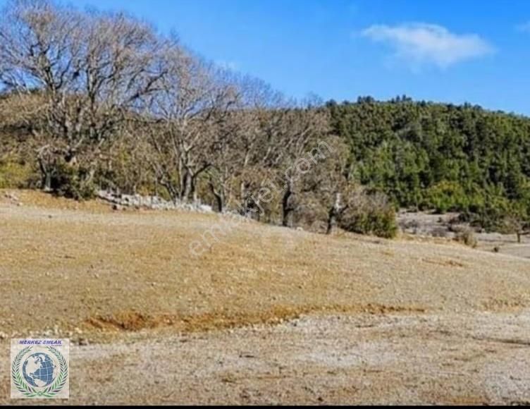 Burdur Bucak Taşyayla Köyü Satılık Tarla - Görsel 3