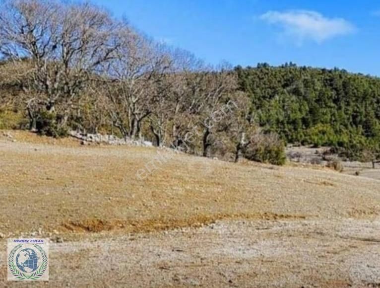 Burdur Bucak Taşyayla Köyü Satılık Tarla - Görsel 8