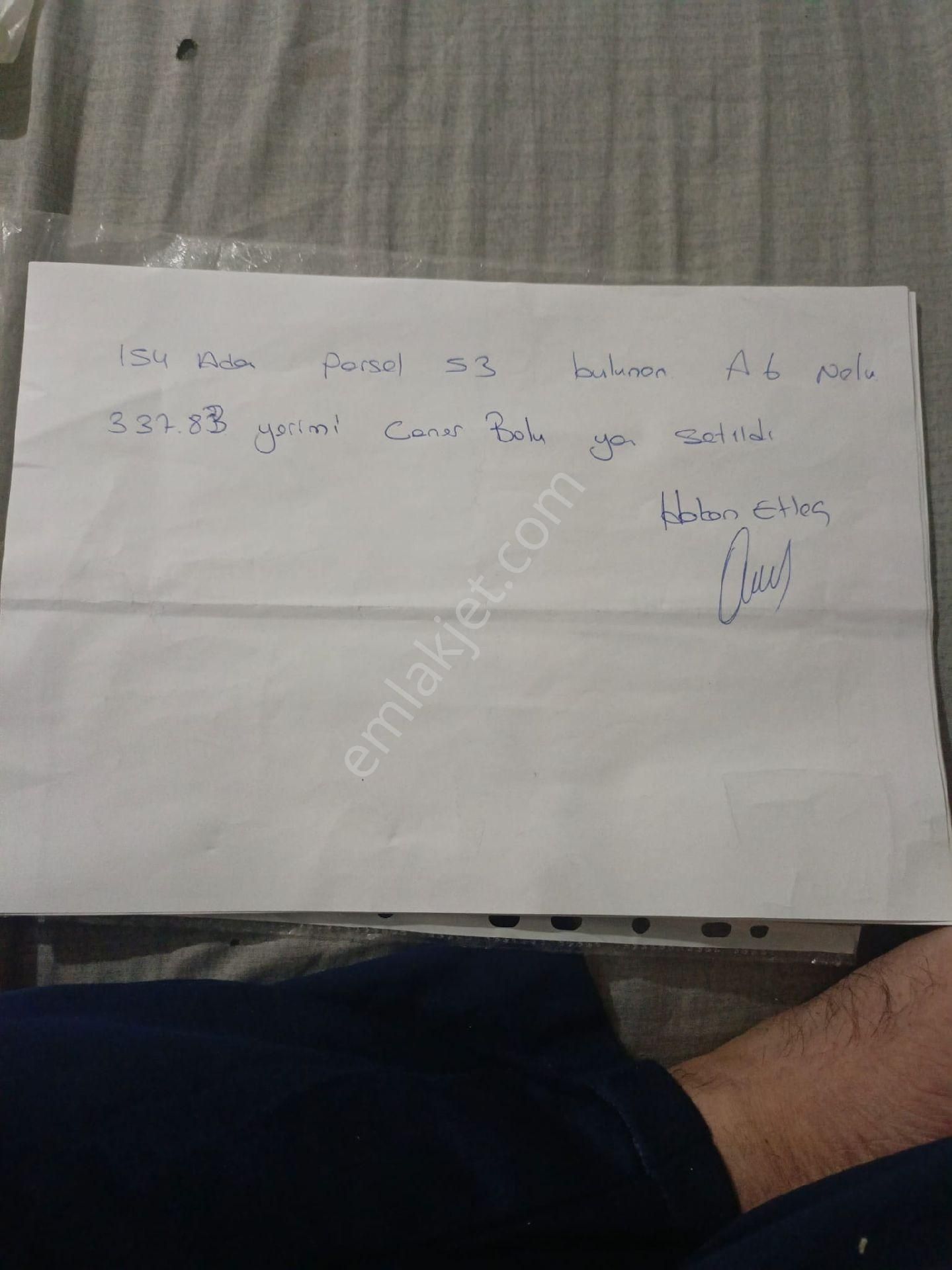 Çakırbeyli Torbalıda Acil.satılık Yolla Sıfır Sşefika Hanım Çiftliği Karsisi Sağ Sol Komşu Var - Görsel 2