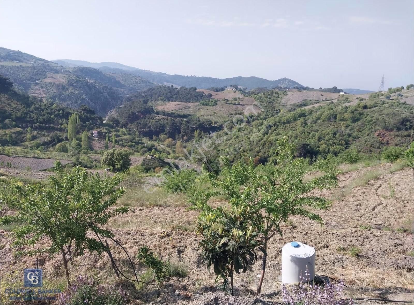 Karabağlar Kavacık Üzüm Bağı - Görsel 4