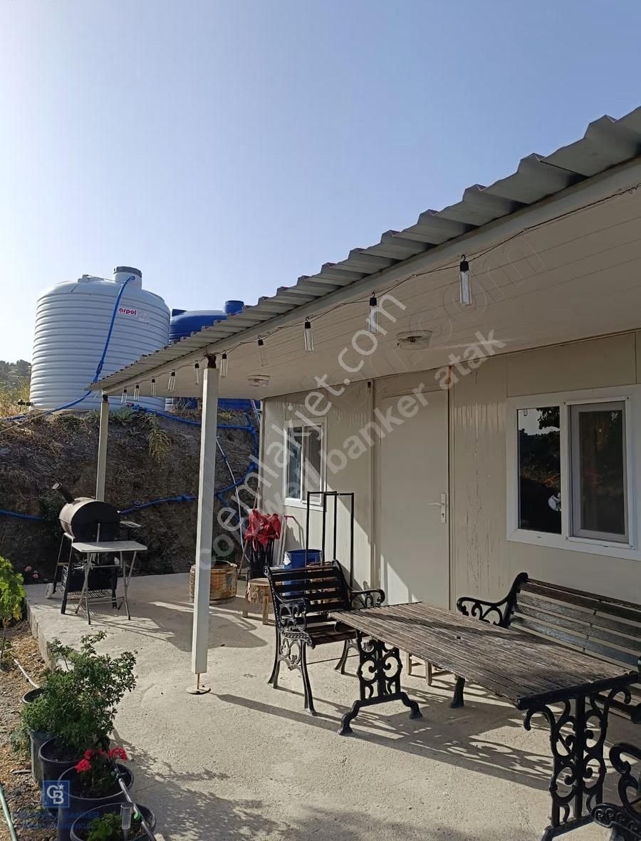 Karabağlar Kavacık Üzüm Bağı - Görsel 8