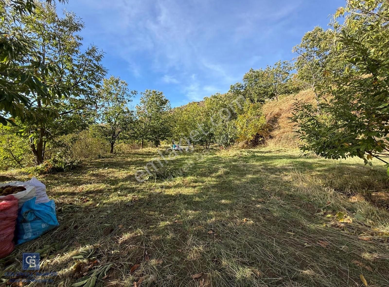 İzmir Kiraz Dokuzlar'da 9.113 M² Kestane Yetiştirmek İçin Tarla - Görsel 13