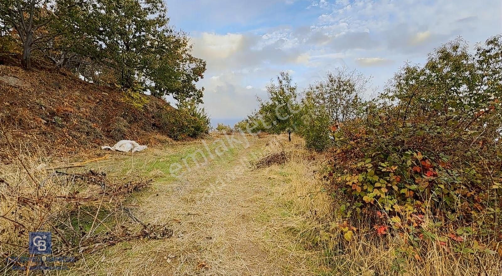 İzmir Kiraz Dokuzlar'da 9.113 M² Kestane Yetiştirmek İçin Tarla - Görsel 8