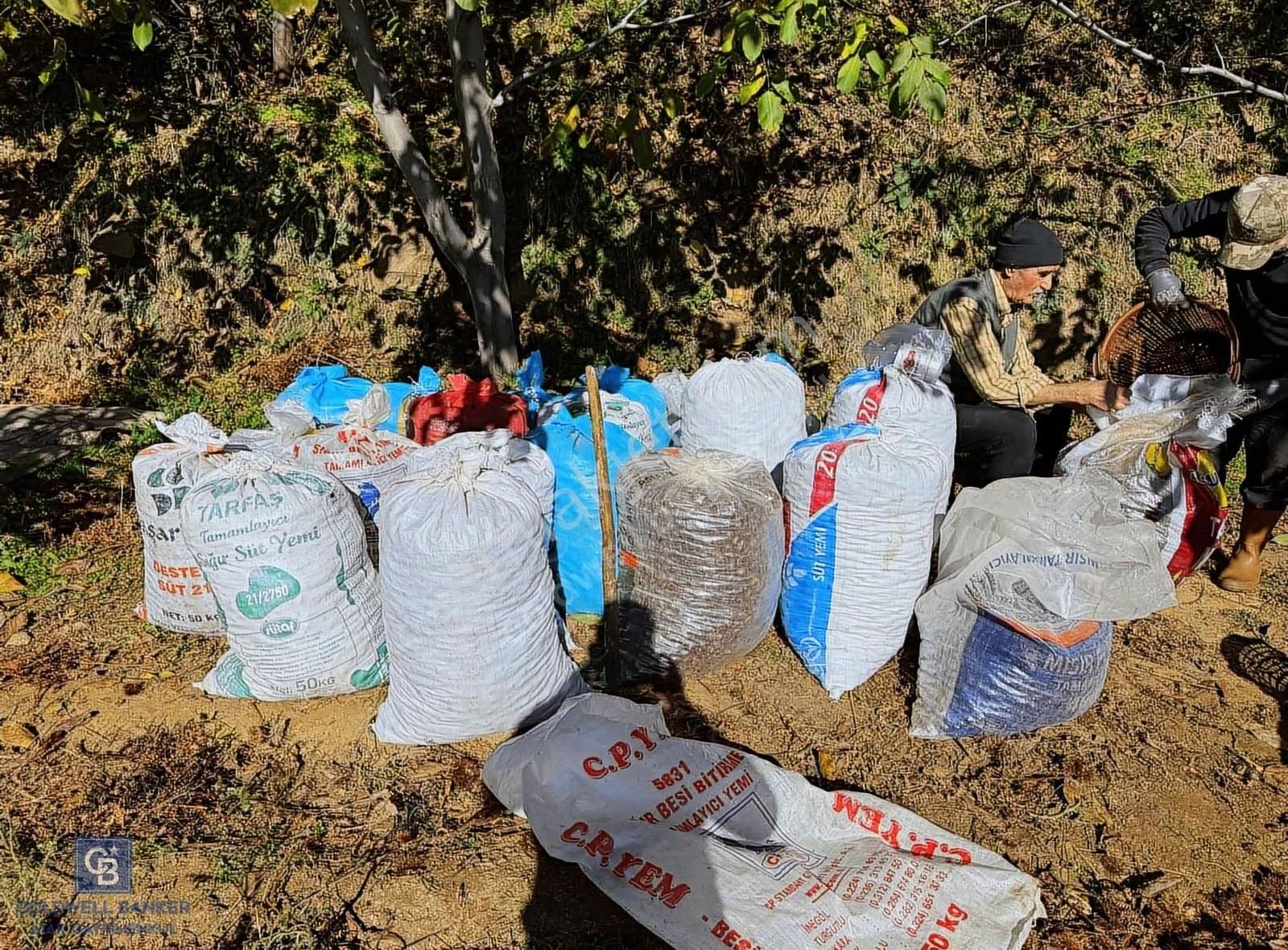 İzmir Kiraz Dokuzlar'da 9.113 M² Kestane Yetiştirmek İçin Tarla - Görsel 12