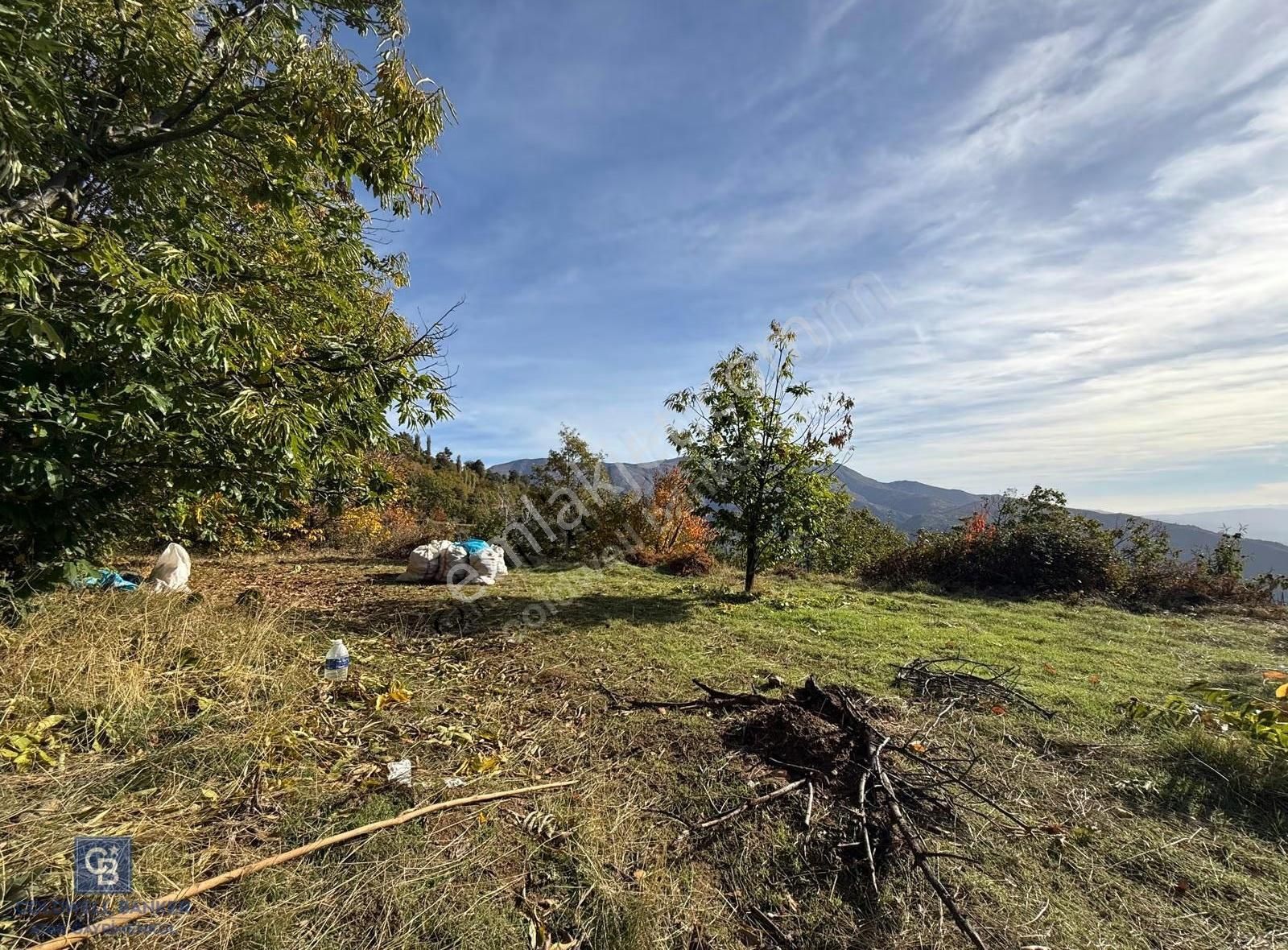 İzmir Kiraz Dokuzlar'da 9.113 M² Kestane Yetiştirmek İçin Tarla - Görsel 10