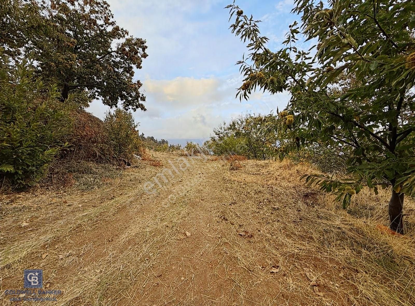 İzmir Kiraz Dokuzlar'da 9.113 M² Kestane Yetiştirmek İçin Tarla - Görsel 9