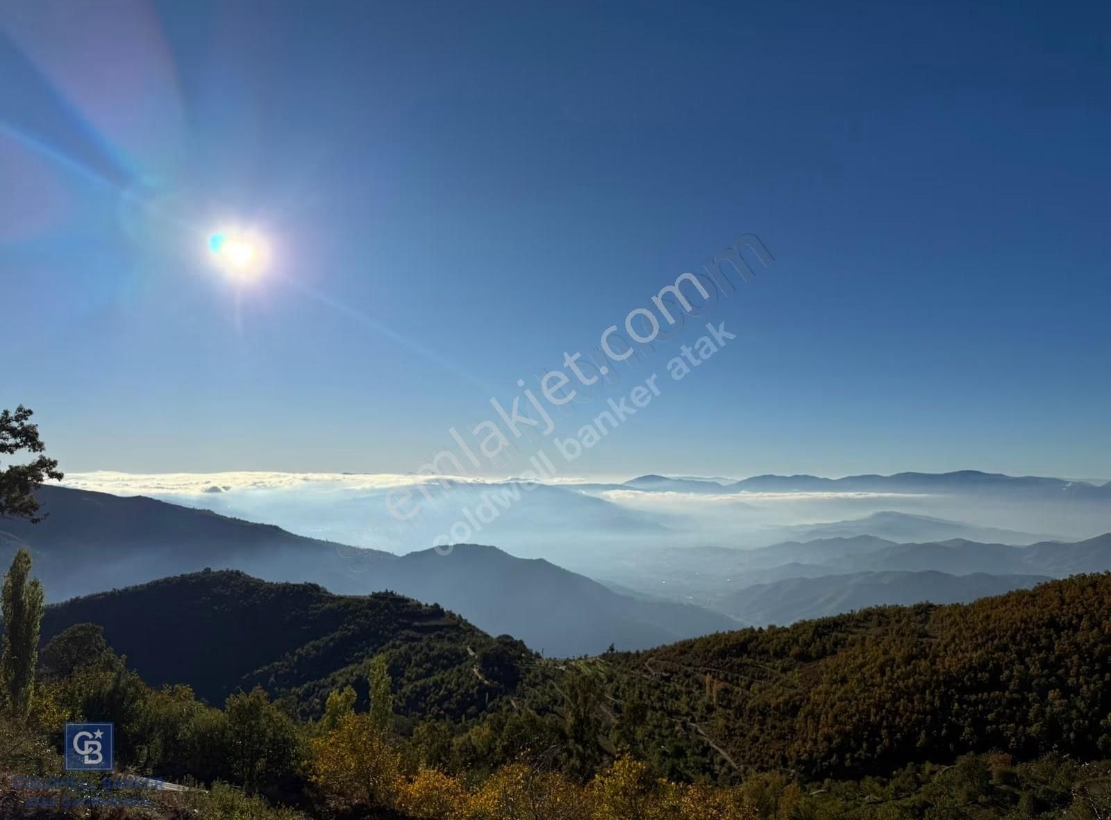 İzmir Kiraz Dokuzlar'da 9.113 M² Kestane Yetiştirmek İçin Tarla - Görsel 6